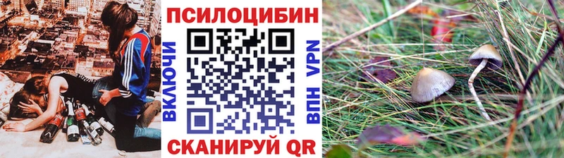 Галлюциногенные грибы мицелий  Белёв 